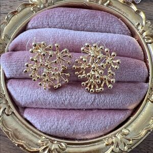 Bottega Veneta Gold Cluster new Earrings